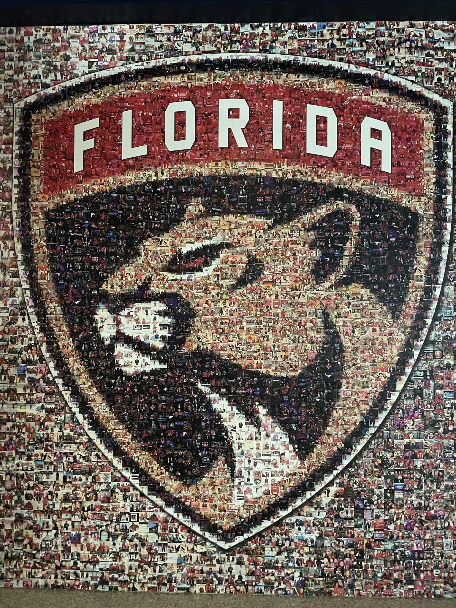 Florida Jr. Panthers (@FJPhockey) / X